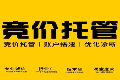 SEM推广与竞价代运营结合的实战案例分析
